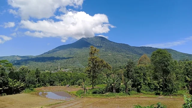KOTA PADANG SIDIMPUAN