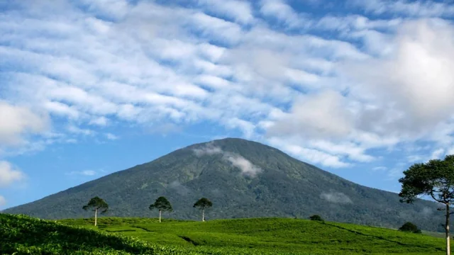 KOTA PAGAR ALAM